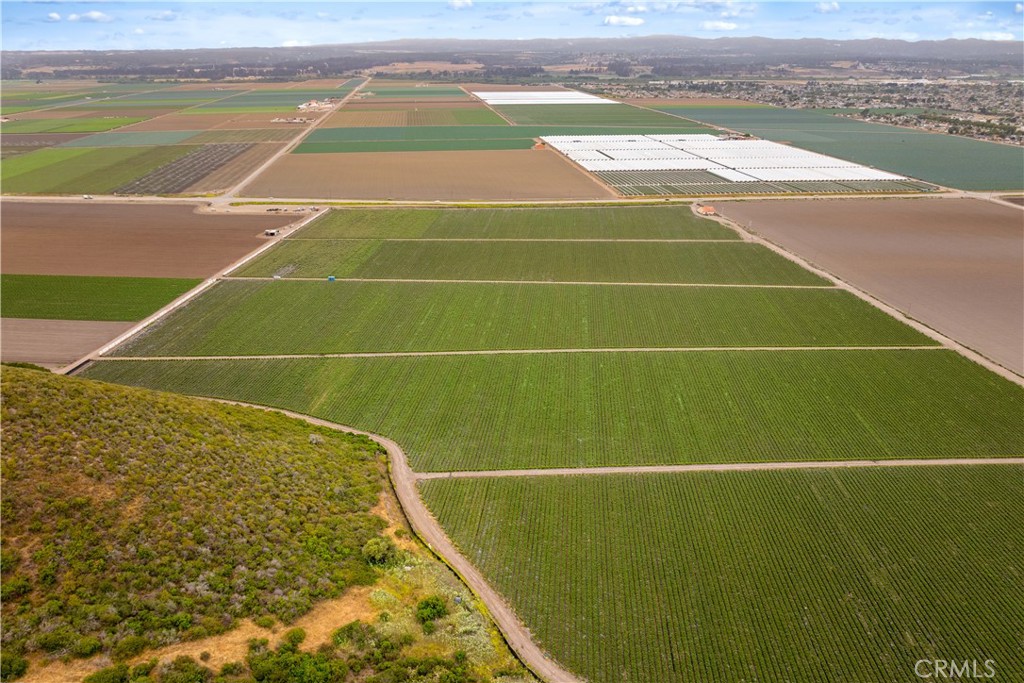 MLS #PI25199256 image #6