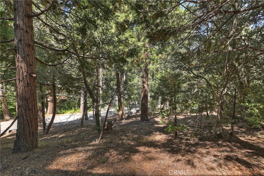 MLS #IG25154224 img 33