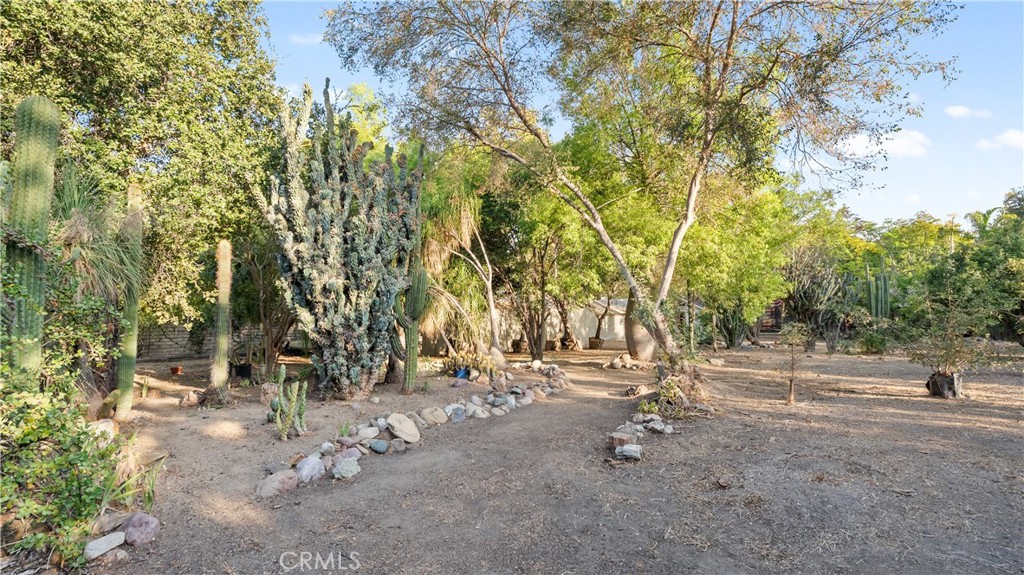 MLS #SR26142516 image #48