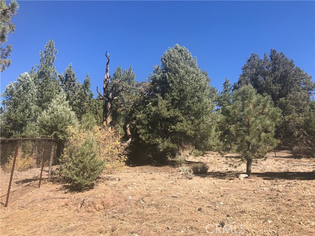 0 Sheephorn Rd, Big Bear City, California 92315, ,Land,For Sale,0 Sheephorn Rd,CRIG21227250