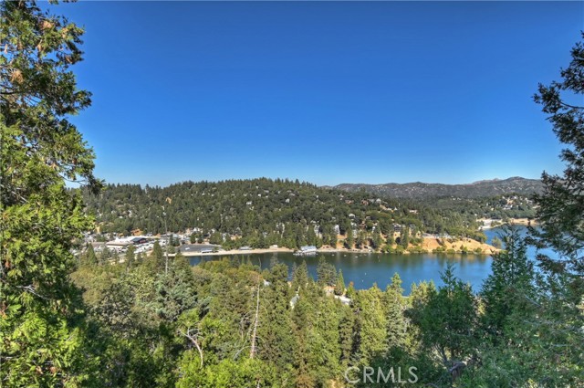 Detail Gallery Image 30 of 33 For 24274 Bernard Dr, Crestline,  CA 92325 - 2 Beds | 1/1 Baths