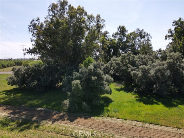 Detail Gallery Image 11 of 13 For 0 Corning, Corning,  CA 06021 - – Beds | – Baths