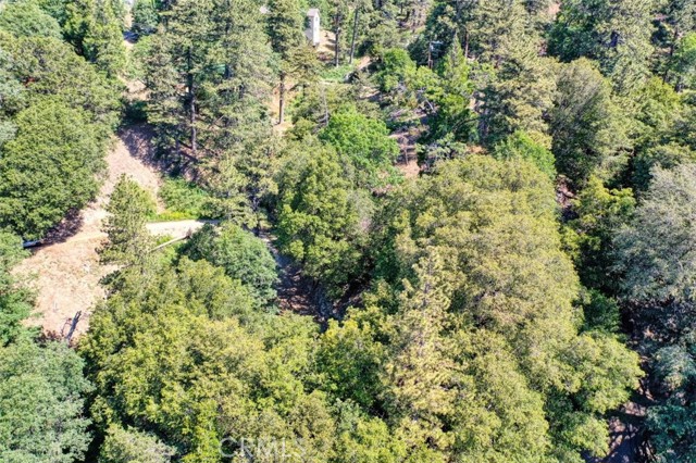 0 Cochran Rd, Cedarpines Park, California 92391, ,Land,For Sale,0 Cochran Rd,CREV22196824