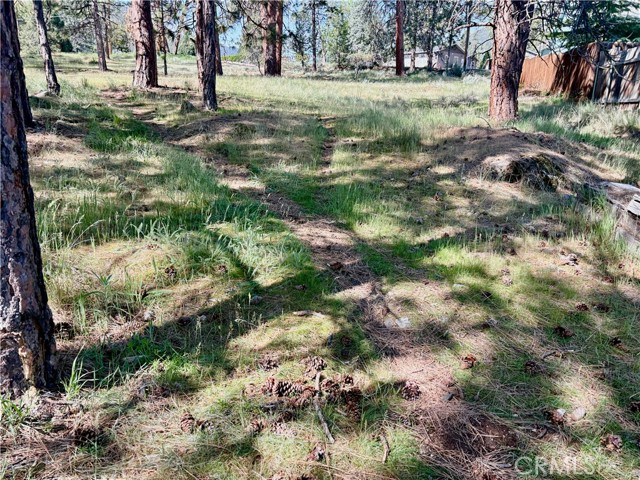 Image 9 of 54 For 0 S Lang Way