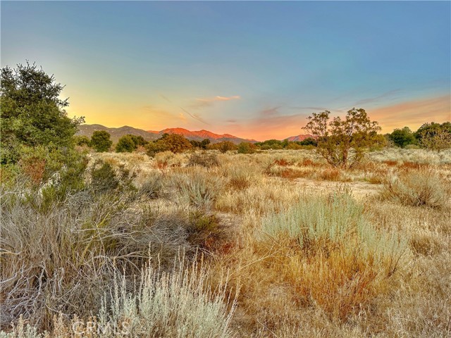 Detail Gallery Image 42 of 75 For 30415 Chihuahua Valley Rd, Warner Springs,  CA 92086 - 1 Beds | 1 Baths