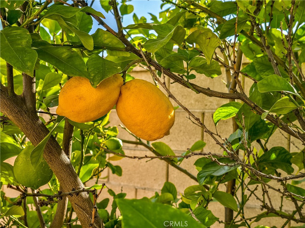 https://media.crmls.org/medias/adab9185-1812-48d3-9671-7b381abc7de3.jpg?preset=X-Large