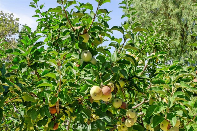 Detail Gallery Image 7 of 63 For 10684 Lakeview Rd, Yucaipa,  CA 92399 - 4 Beds | 3 Baths