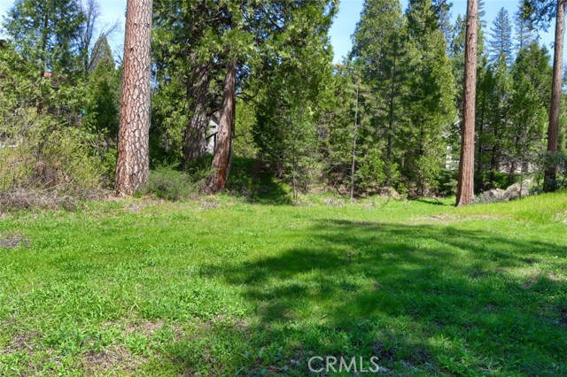 Detail Gallery Image 14 of 31 For 0 Dogwood Creek Dr, Bass Lake,  CA 93604 - – Beds | – Baths