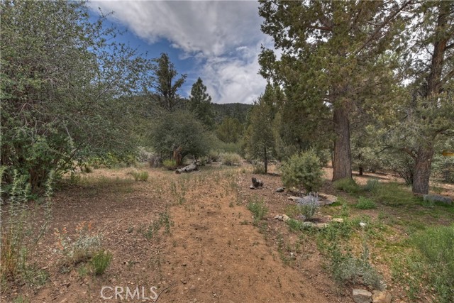 Detail Gallery Image 44 of 50 For 1285 Skyview Ct, Big Bear City,  CA 92314 - 3 Beds | 2 Baths