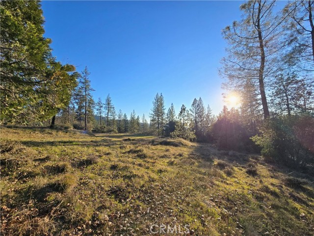 Detail Gallery Image 33 of 34 For 0 Double Eagle Way, Brownsville,  CA 95919 - – Beds | – Baths