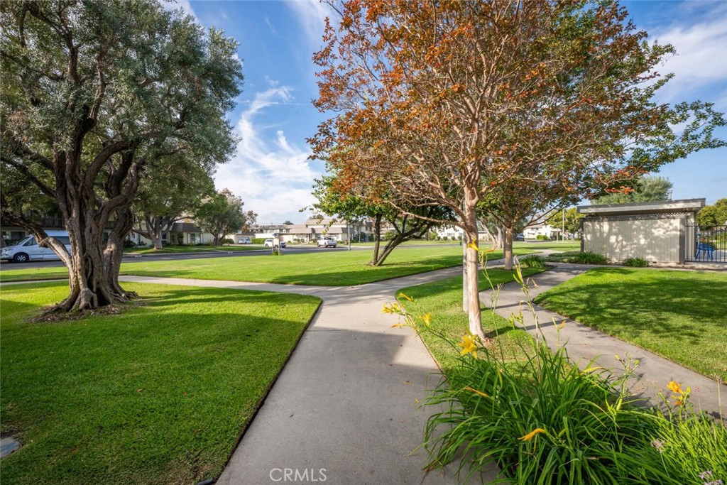 Adc3Ed73 A78E 4724 B8D7 Bc385184E1Aa 9686 Bloomfield, Cypress, Ca 90630 &Lt;Span Style='BackgroundColor:transparent;Padding:0Px;'&Gt; &Lt;Small&Gt; &Lt;I&Gt; &Lt;/I&Gt; &Lt;/Small&Gt;&Lt;/Span&Gt;