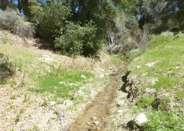 Detail Gallery Image 15 of 37 For 0 0 Vineyard Canyon Parcel 29, San Miguel,  CA 93451 - – Beds | – Baths