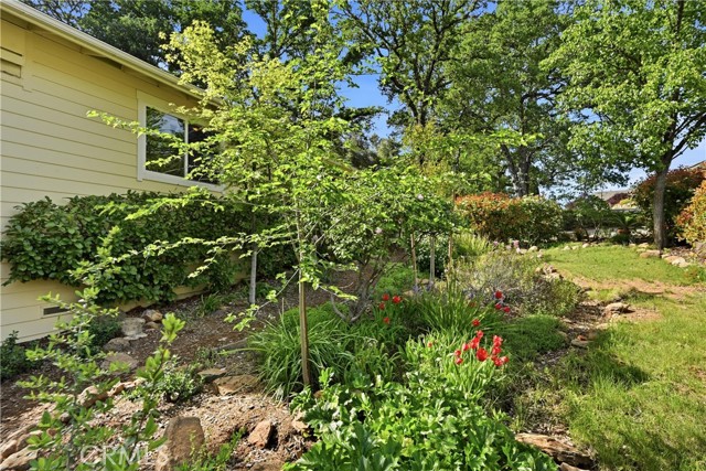 Detail Gallery Image 39 of 43 For 19879 Donkey Hill, Hidden Valley Lake,  CA 95467 - 3 Beds | 2 Baths