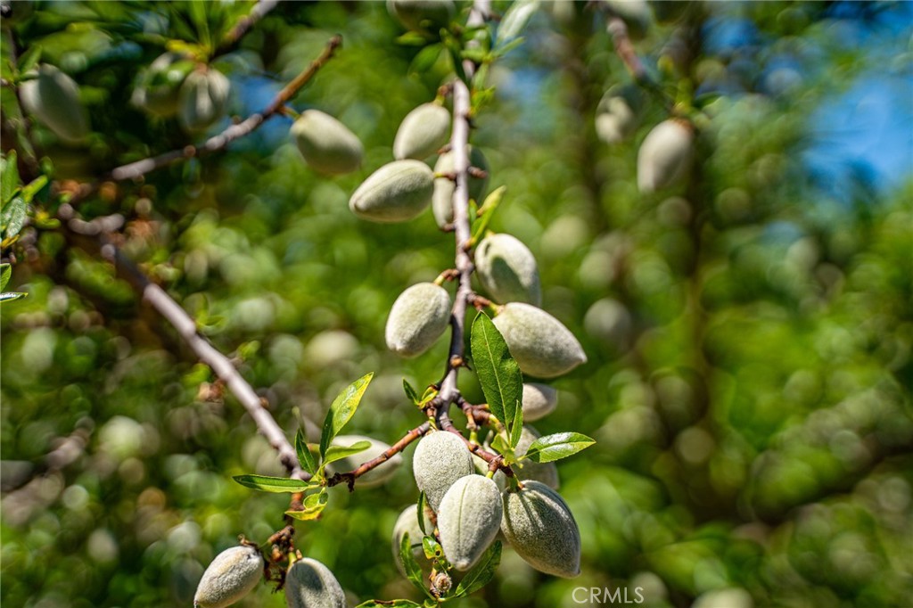 https://media.crmls.org/medias/adcb34e2-df99-46bb-9a95-dd29ea9bbc9e.jpg?preset=X-Large