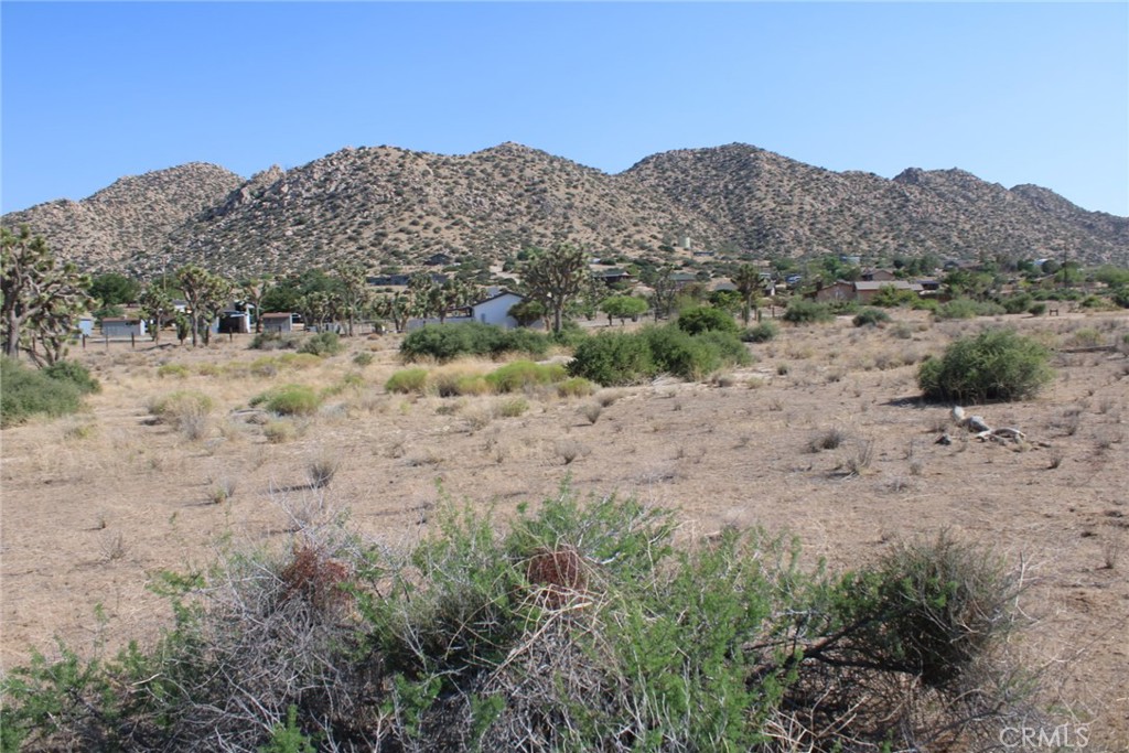 MLS #CV25150716 image #8