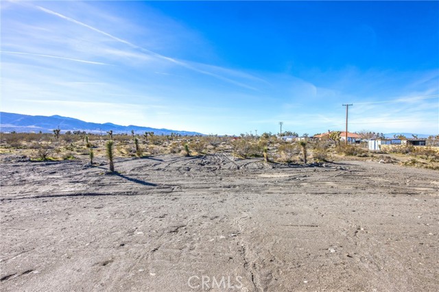 Detail Gallery Image 44 of 61 For 11788 Buckwheat, Pinon Hills,  CA 92371 - 4 Beds | 2 Baths