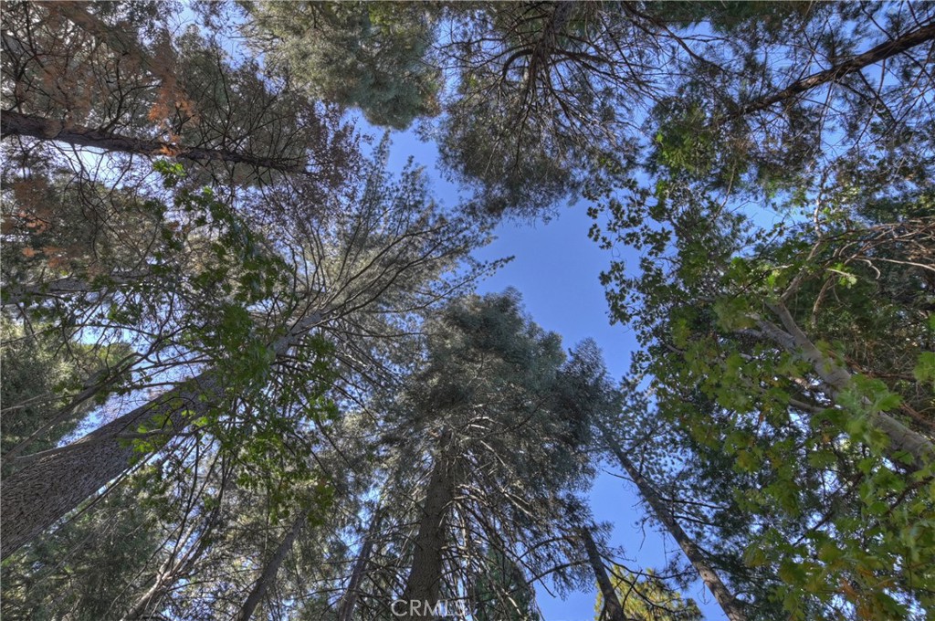 https://media.crmls.org/medias/addba223-d75a-493c-9147-04de52504b6f.jpg?preset=X-Large