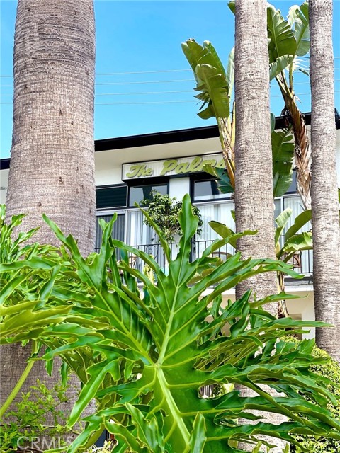 Detail Gallery Image 22 of 29 For 250 Cliff Dr #6,  Laguna Beach,  CA 92651 - 1 Beds | 1 Baths