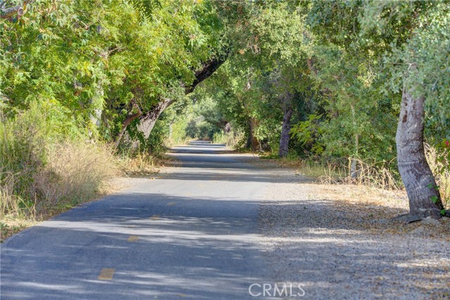 Bob Jones walking trail.