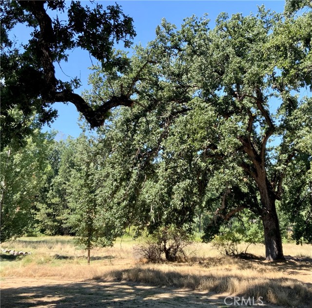 0 Giant Oak Road, Oakhurst, California 93644, ,Land,For Sale,0 Giant Oak Road,CRFR23164059