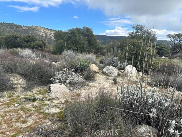 Detail Gallery Image 24 of 29 For 0 Oak Rd, Anza,  CA 92539 - – Beds | – Baths