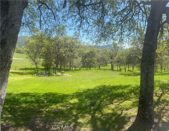 29503 Spence Lane, Tollhouse CA: https://media.crmls.org/medias/adf209c6-3edc-4143-b67f-9d8594eb5257.jpg