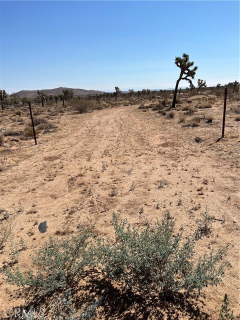 Detail Gallery Image 1 of 11 For 2801 Avalon Ave, Yucca Valley,  CA 92284 - – Beds | – Baths