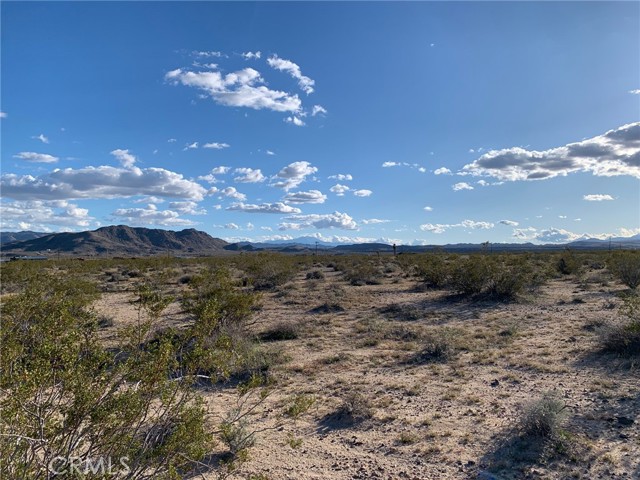 Detail Gallery Image 9 of 13 For 42 Foxy Flats Rd, Joshua Tree,  CA 92252 - – Beds | – Baths