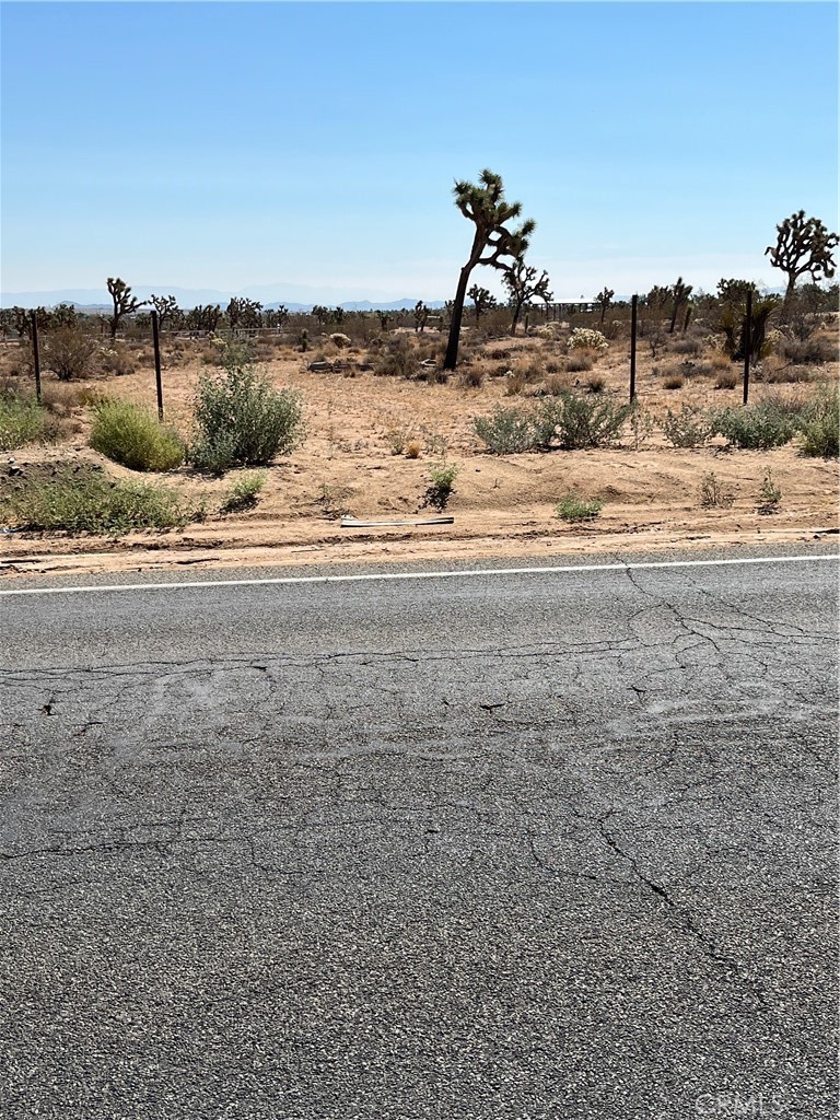 MLS #JT25190838 image #10