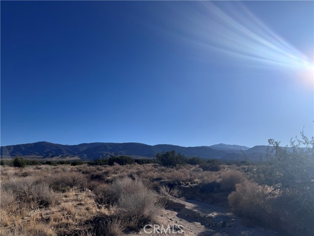 Front Image Thumbnail for CRIV25247202