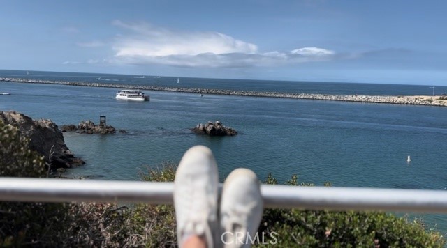 MLS #OC25248780 image #64