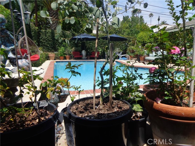 Detail Gallery Image 43 of 69 For 3855 York Bld, Los Angeles,  CA 90065 - 3 Beds | 2 Baths