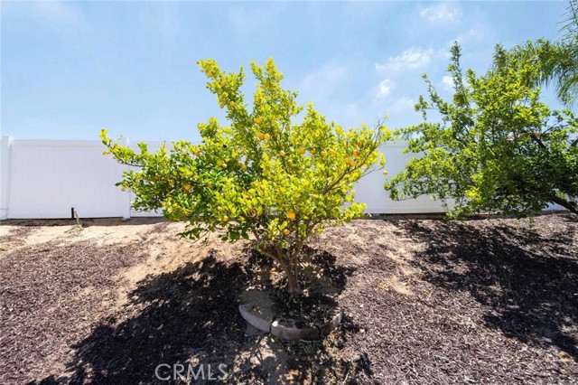 25444 Clover Glen Circle, Murrieta CA: https://media.crmls.org/medias/ae223d54-443a-4274-92b2-0b1e246fd52b.jpg