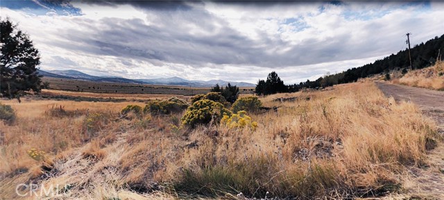 Front Image Thumbnail for CRND26085724