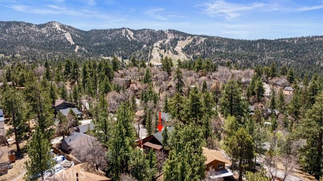 Detail Gallery Image 46 of 46 For 694 Butte Ave, Big Bear City,  CA 92314 - 4 Beds | 2/1 Baths