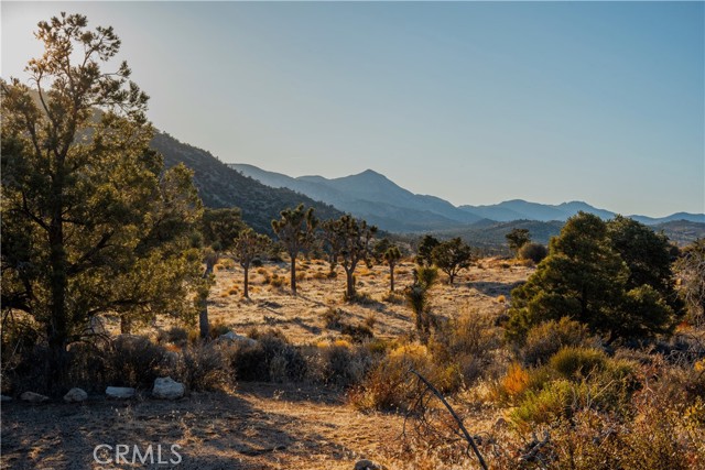Detail Gallery Image 45 of 47 For 48317 Burns Canyon Rd, Pioneertown,  CA 92268 - 2 Beds | 1 Baths