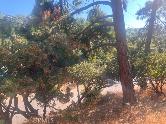 0 Arth Drive, Crestline, California 92325, ,Land,For Sale,0 Arth Drive,CRHD23124328