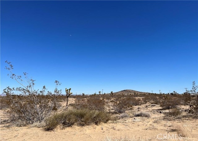 Detail Gallery Image 5 of 8 For 0 Balsa Ave, Landers,  CA 92285 - – Beds | – Baths