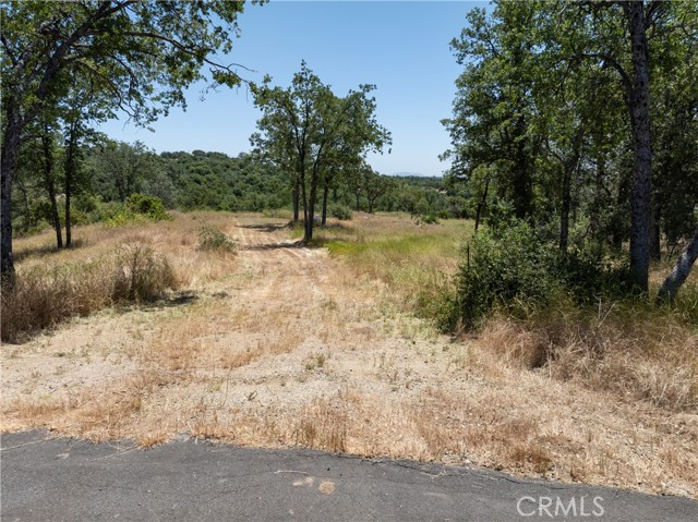 Detail Gallery Image 2 of 19 For 3 Acres Serendipity Ln, Coarsegold,  CA 93614 - – Beds | – Baths