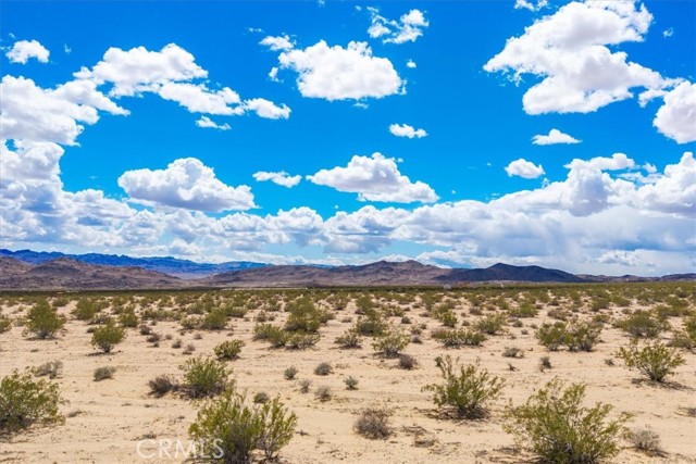 Detail Gallery Image 16 of 26 For 62 Lucille Ln, Joshua Tree,  CA 92252 - – Beds | – Baths