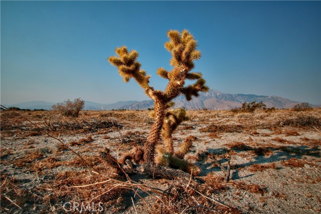 Detail Gallery Image 1 of 25 For 0 8th Ave, Desert Hot Springs,  CA 92240 - – Beds | – Baths