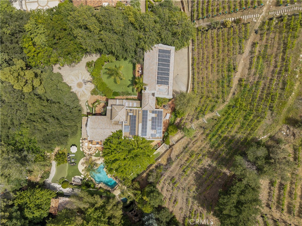 31350 Lobo Canyon Road