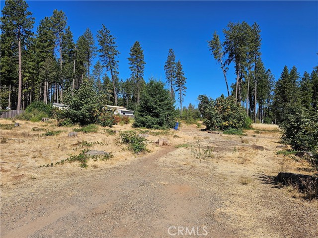 1533 Forest Service Rd, Paradise CA: https://media.crmls.org/medias/ae369dfd-4bdf-42a0-ab37-89593dd06b0c.jpg