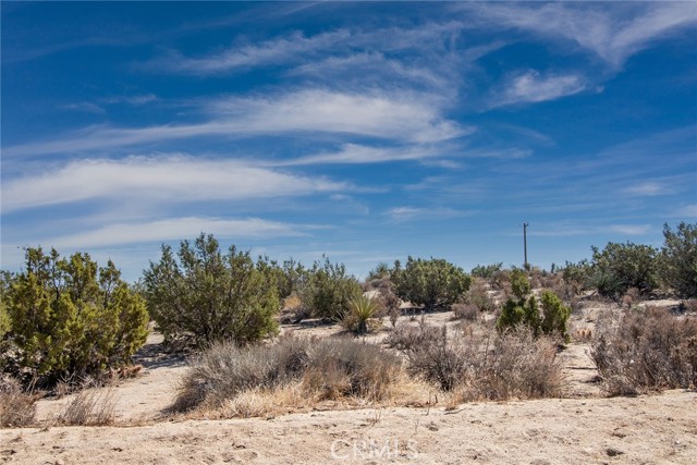 Detail Gallery Image 6 of 15 For 56600 Duarte St, Yucca Valley,  CA 92284 - – Beds | – Baths