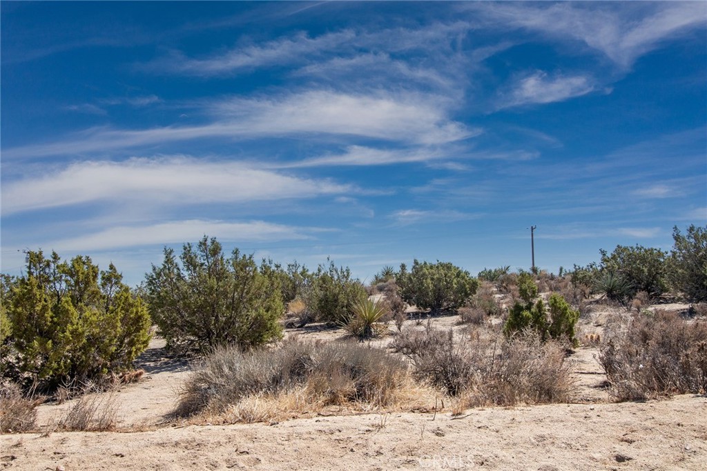 MLS #JT24093355 image #9