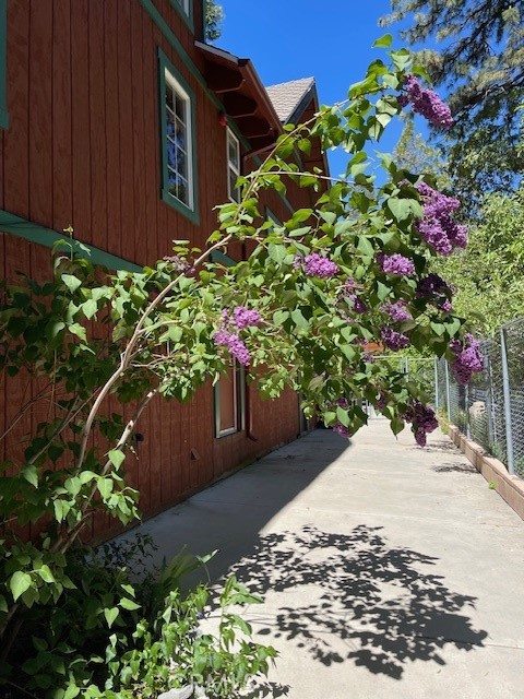 Detail Gallery Image 29 of 31 For 9367 Canyon Dr, Forest Falls,  CA 92339 - 3 Beds | 2 Baths