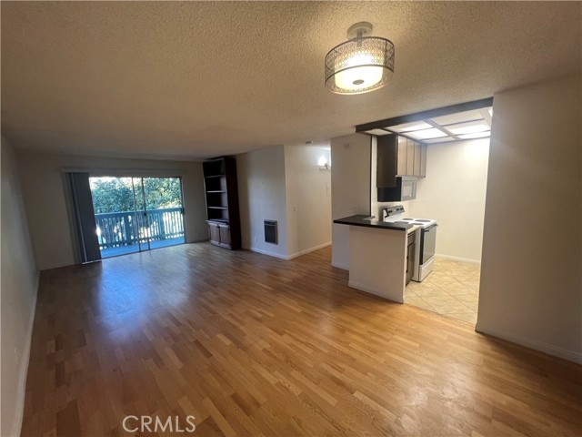 kitchen and living room