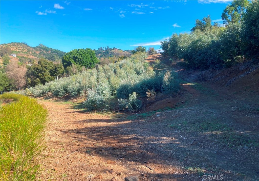 MLS #SW24226307 img 1