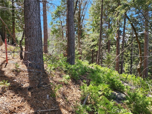 Detail Gallery Image 12 of 24 For 586 Rose, Twin Peaks,  CA 92391 - – Beds | – Baths