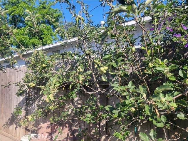 545 B S Grove Avenue, Anaheim CA: https://media.crmls.org/medias/ae5ff922-f5bf-4224-ad5b-62a85e8a4947.jpg